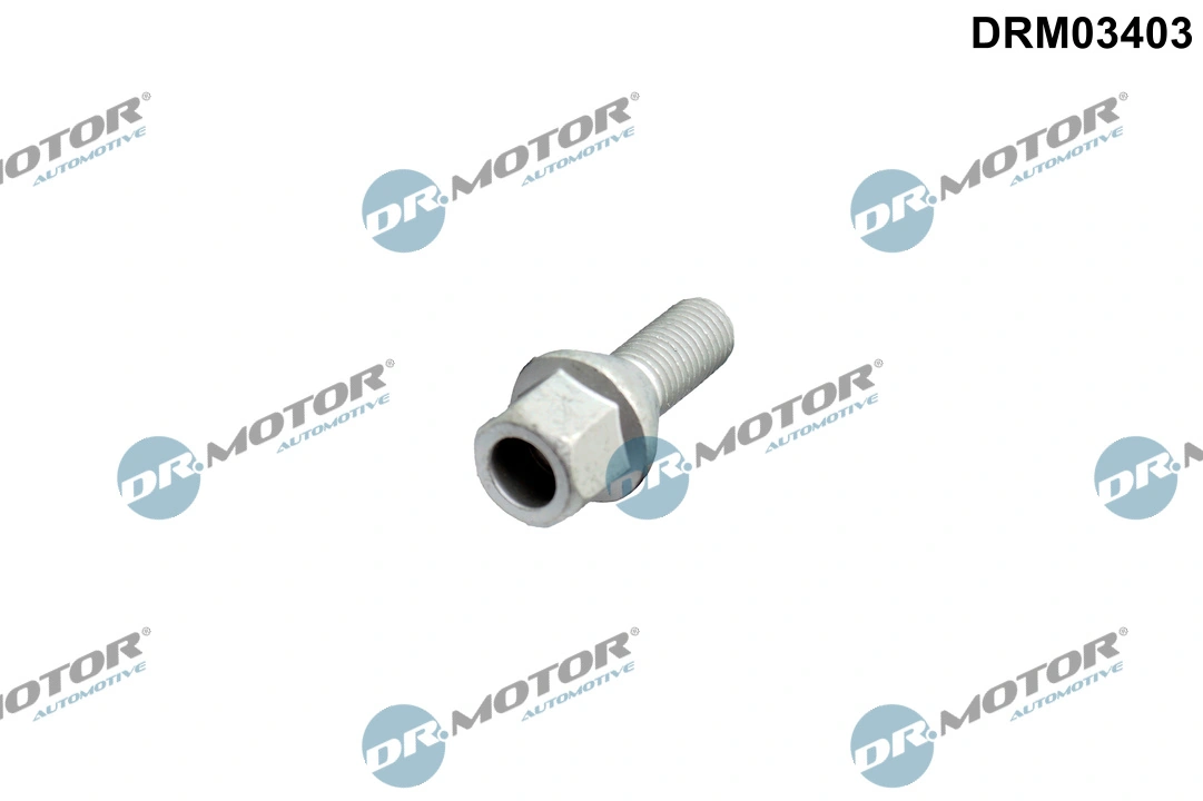 Wheel Bolt